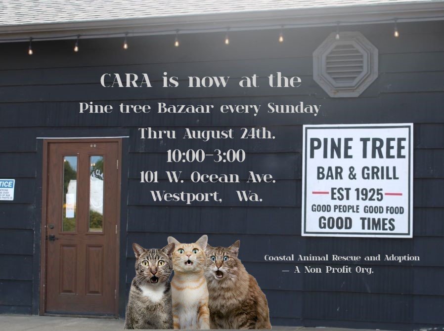 Pine Tree Bar and Grill in Westport Washington.